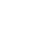icons8-audit-100-1